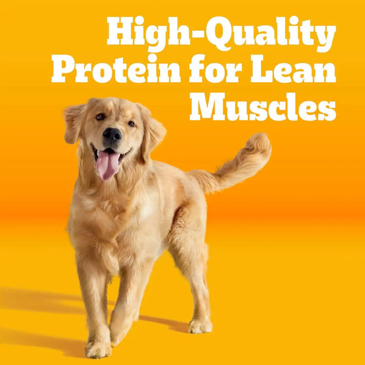 Pedigree Dry Dog Food for Adult Dogs, High Protein, Turkey and Chicken Flavor, 18 lb. Bag