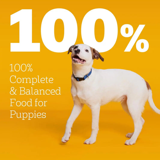 Pedigree Puppy Dry Puppy Food, Grilled Steak and Vegetable Flavor, 14 lb. Bag