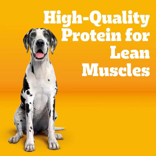 Pedigree Large Breed Adult Dry Dog Food, Roasted Chicken & Vegetable, 16 lb