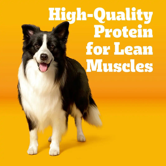 Pedigree Dry Dog Food with MarroBites Pieces, Grilled Steak & Vegetable Flavor for Adult Dogs, 36 lb. Bag